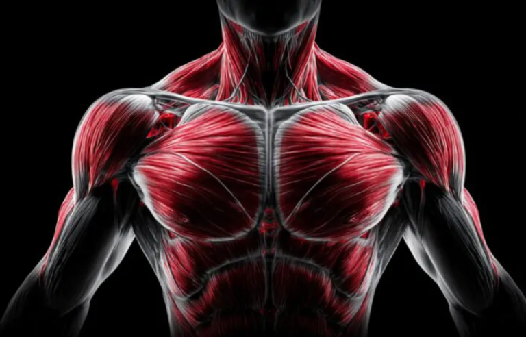 Що таке DOMS вся правда про біль у м'язах після навантажень 🥊