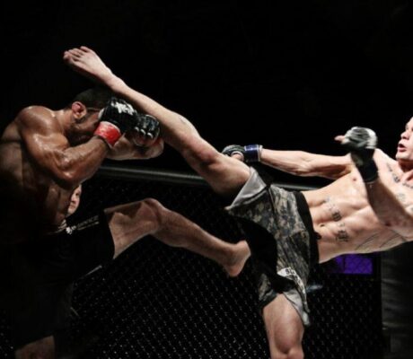 Змішані бойові мистецтва (MMA)