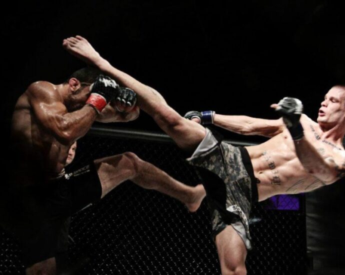 Змішані бойові мистецтва (MMA)